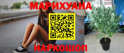 мяу мяу мука Новодвинск