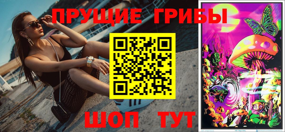 Галлюциногенные грибы Psilocybine cubensis Холмск