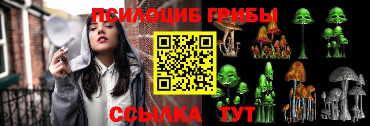 Холмск  цены   Галлюциногенные грибы Psilocybe  Вход с VPN  Галлюциногенные грибы GOLDEN TEACHER 